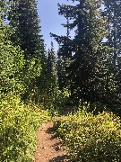 Maple Heather Trail, WA